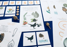 Load image into Gallery viewer, Seed Dispersal learning resource