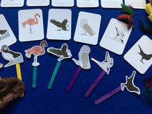 Load image into Gallery viewer, Nesting birds | bird unit | Montessori learning