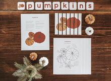 Load image into Gallery viewer, Pumpkin study unit