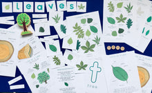 Load image into Gallery viewer, Summer Tree study