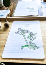 Load image into Gallery viewer, Herb and Folklore January Chickweed
