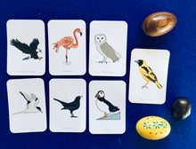 Load image into Gallery viewer, Nesting birds | bird unit | Montessori learning