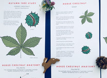 Load image into Gallery viewer, Autumn Tree study unit