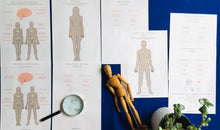 Load image into Gallery viewer, Anatomy bundle