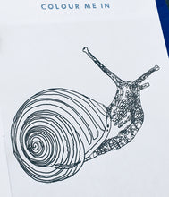Load image into Gallery viewer, Slugs vs Snails study unit | Home education printable