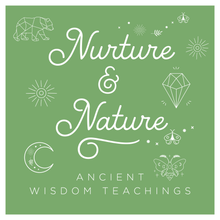 Load image into Gallery viewer, Nurture + Nature December Connect Plantain