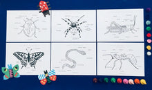 Load image into Gallery viewer, Nature bundle