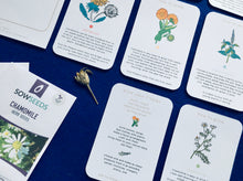 Load image into Gallery viewer, Connect with herbs and chakras for children mindfulness unit