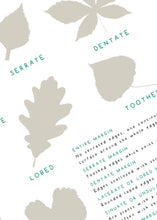 Load image into Gallery viewer, Summer Tree study