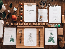 Load image into Gallery viewer, Herb and Folklore April Stinging Nettle