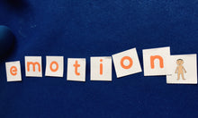 Load image into Gallery viewer, Emotional Intelligence learning resource