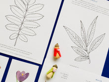 Load image into Gallery viewer, Imbolc | Spring | Wheel of the year Home education