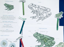 Load image into Gallery viewer, Frogs | Home education | study | Montessori | Waldorf | Learning resource