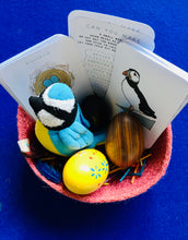 Load image into Gallery viewer, Nesting birds | bird unit | Montessori learning