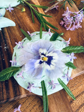 Load image into Gallery viewer, Summer Solstice learning resource