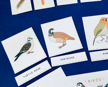 Load image into Gallery viewer, British Birds nomenclature | anatomy | home education