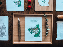 Load image into Gallery viewer, Herb and Folklore February Garlic Mustard