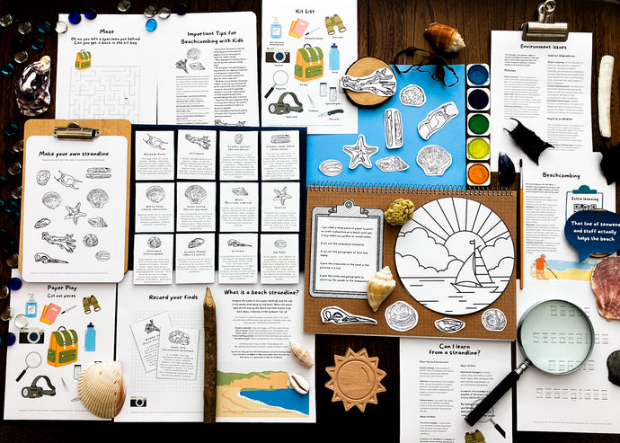 Beach Strandline study unit