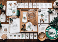Terrarium study unit