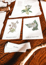 Load image into Gallery viewer, A Kids Herb Book study unit
