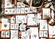 A Kids Herb Book study unit