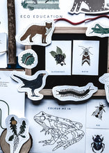 Load image into Gallery viewer, Hedgerow study unit
