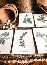 Load image into Gallery viewer, A Kids Herb Book study unit
