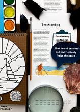 Load image into Gallery viewer, Beach Strandline study unit
