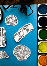 Load image into Gallery viewer, Beach Strandline study unit

