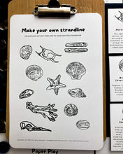 Load image into Gallery viewer, Beach Strandline study unit
