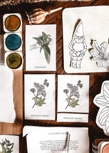 Load image into Gallery viewer, A Kids Herb Book study unit
