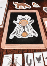 Load image into Gallery viewer, Toddler Bundle
