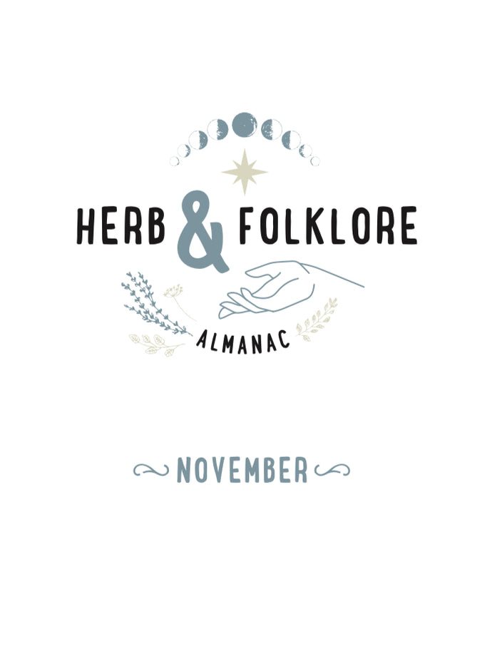 Herb and Folklore November Dandelion