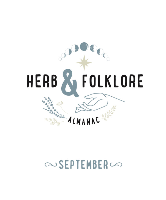 Herb and Folklore September Yarrow