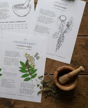 Load image into Gallery viewer, Herbology Almanac
