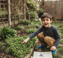 Load image into Gallery viewer, Herbology Almanac
