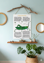 Load image into Gallery viewer, Grasshopper printable
