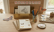 Butterflies Anatomy | Homeschooling Activities | Insect Study | Montessori | Waldorf | Nature Learning Resource