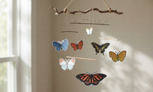 Load image into Gallery viewer, Butterflies Anatomy | Homeschooling Activities | Insect Study | Montessori | Waldorf | Nature Learning Resource
