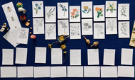Wildflowers Home education learning resource