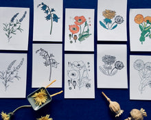 Load image into Gallery viewer, Wildflowers Home education learning resource
