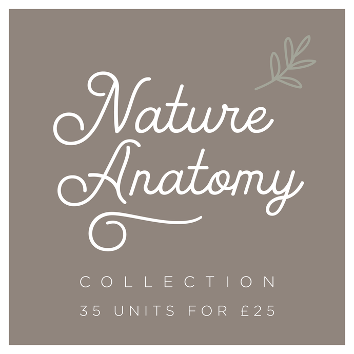 Explore Nature Anatomy Collection