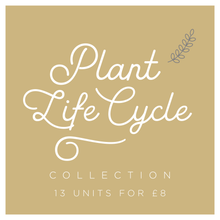 Load image into Gallery viewer, Explore Plant Life Cycle Collection
