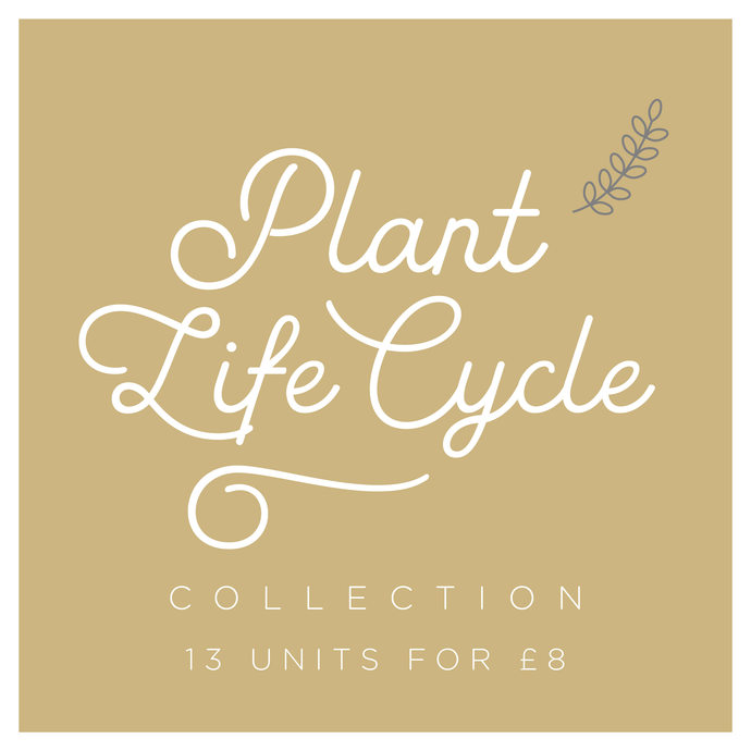 Explore Plant Life Cycle Collection