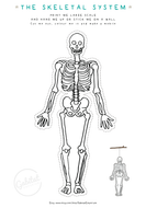 Skeletal Cut Out