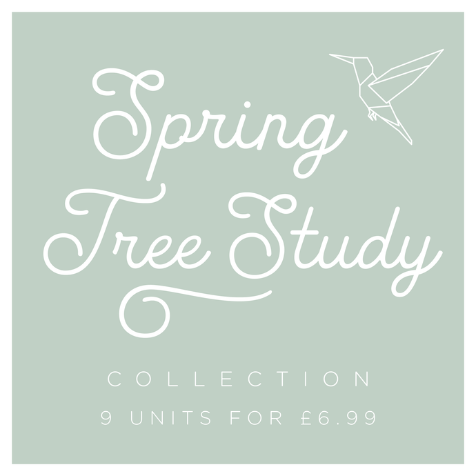 Explore Spring Tree Collection