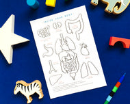 Anatomy education | body parts | home school | inside the body | montessori | printable | kids craft