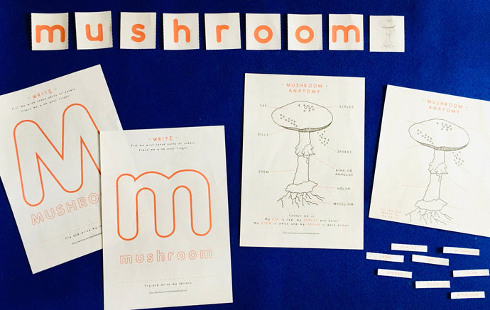 Mushroom Anatomy | Mushroom printable | Homeschool | Home Education | Learning | Montessori