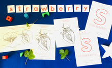 Load image into Gallery viewer, Strawberry Anatomy and Life cycle | Home Education printable | Homeschool nature study | Waldorf | Montessori
