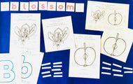 Apple Blossom Anatomy | Blossom | Home Schooling